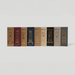 A Box of 10 Bars Mixed Flavors Wholesale 